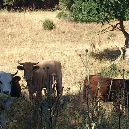 Casa di campagna Riserva Del Noce