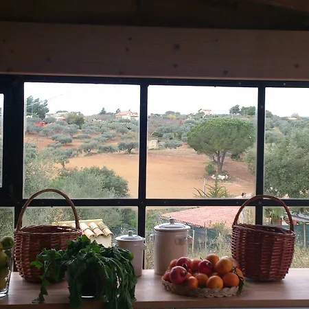 Riserva Del Noce